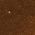 Color Swatch - Brown