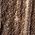 Color Swatch - Brunette