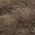 Color Swatch - Brown