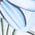 Color Swatch - White