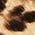 Color Swatch - Natural/Black