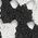 Color Swatch - Black