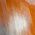 Color Swatch - Orange
