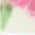 Color Swatch - Floral