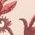 Color Swatch - Red