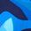 Color Swatch - Blue