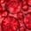 Color Swatch - Red