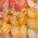 Color Swatch - Yellow