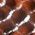 Color Swatch - Brown