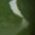 Color Swatch - Green