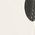 Color Swatch - White