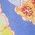 Color Swatch - Floral