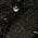 Color Swatch - Black