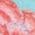 Color Swatch - Floral