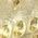 Color Swatch - Gold