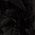 Color Swatch - Black