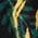 Color Swatch - Evergreen Multi