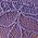 Color Swatch - Purple