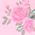 Color Swatch - Pink