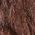 Color Swatch - Brown