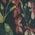 Color Swatch - Tuscan Fields Print