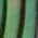 Color Swatch - Blue