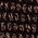 Color Swatch - Brown Multi