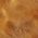 Color Swatch - Brown