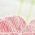 Color Swatch - Floral