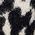 Color Swatch - Animal