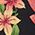 Color Swatch - Black Ground Floral