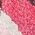 Color Swatch - Pink Print