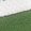 Color Swatch - Green