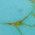 Color Swatch - Gold/Turquoise