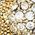 Color Swatch - Gold