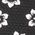 Color Swatch - Black