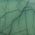 Color Swatch - Green