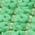 Color Swatch - Green
