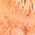 Color Swatch - Pink