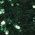 Color Swatch - Green