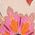 Color Swatch - Floral
