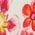 Color Swatch - Floral