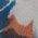 Color Swatch - Fiori