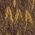 Color Swatch - Brown