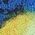 Color Swatch - Blue Abstract Print