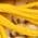 Color Swatch - Yellow