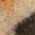 Color Swatch - Gold