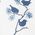 Color Swatch - Blue
