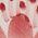 Color Swatch - Pink