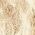Color Swatch - Cream